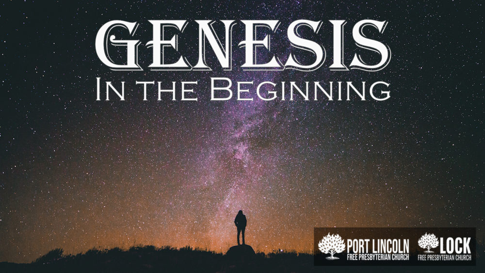 Genesis: The Beginnings